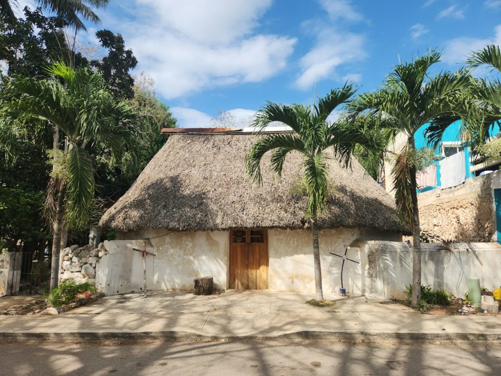 a house with a thatched roof and palm trees